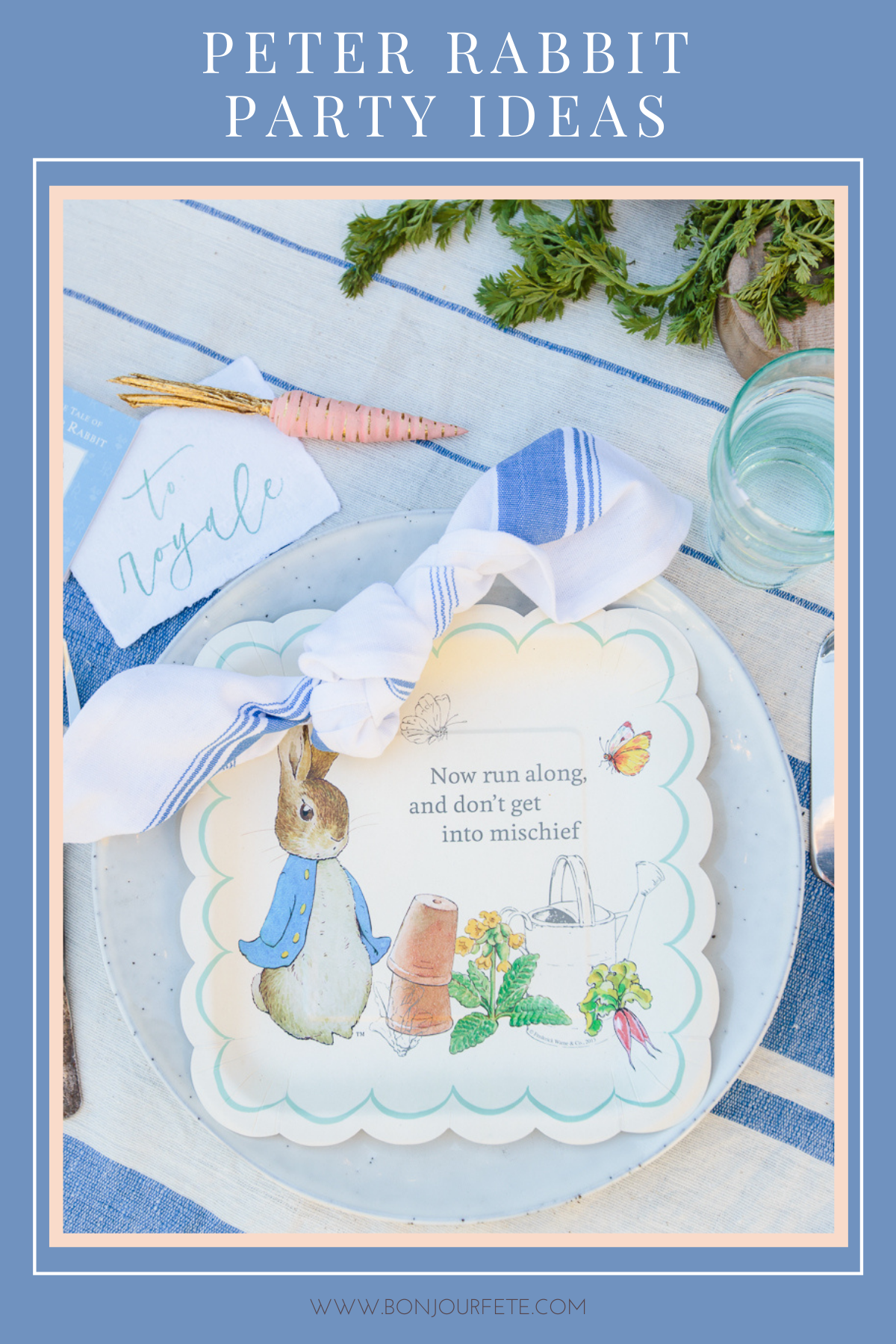 Peter Rabbit Baby Shower Theme, Invitation & Decoration Ideas