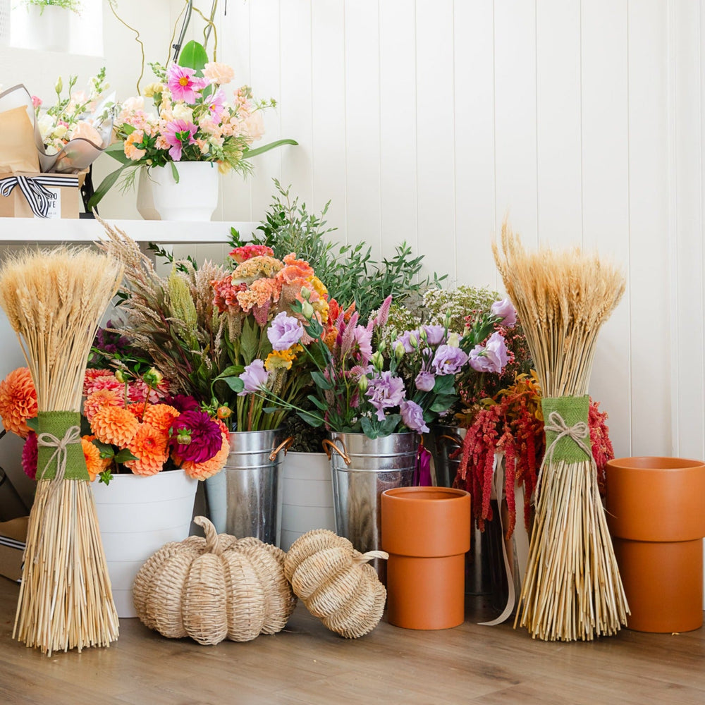 BASKETWEAVE PUMPKINS Raz Thanksgiving Home Decor Bonjour Fete - Party Supplies