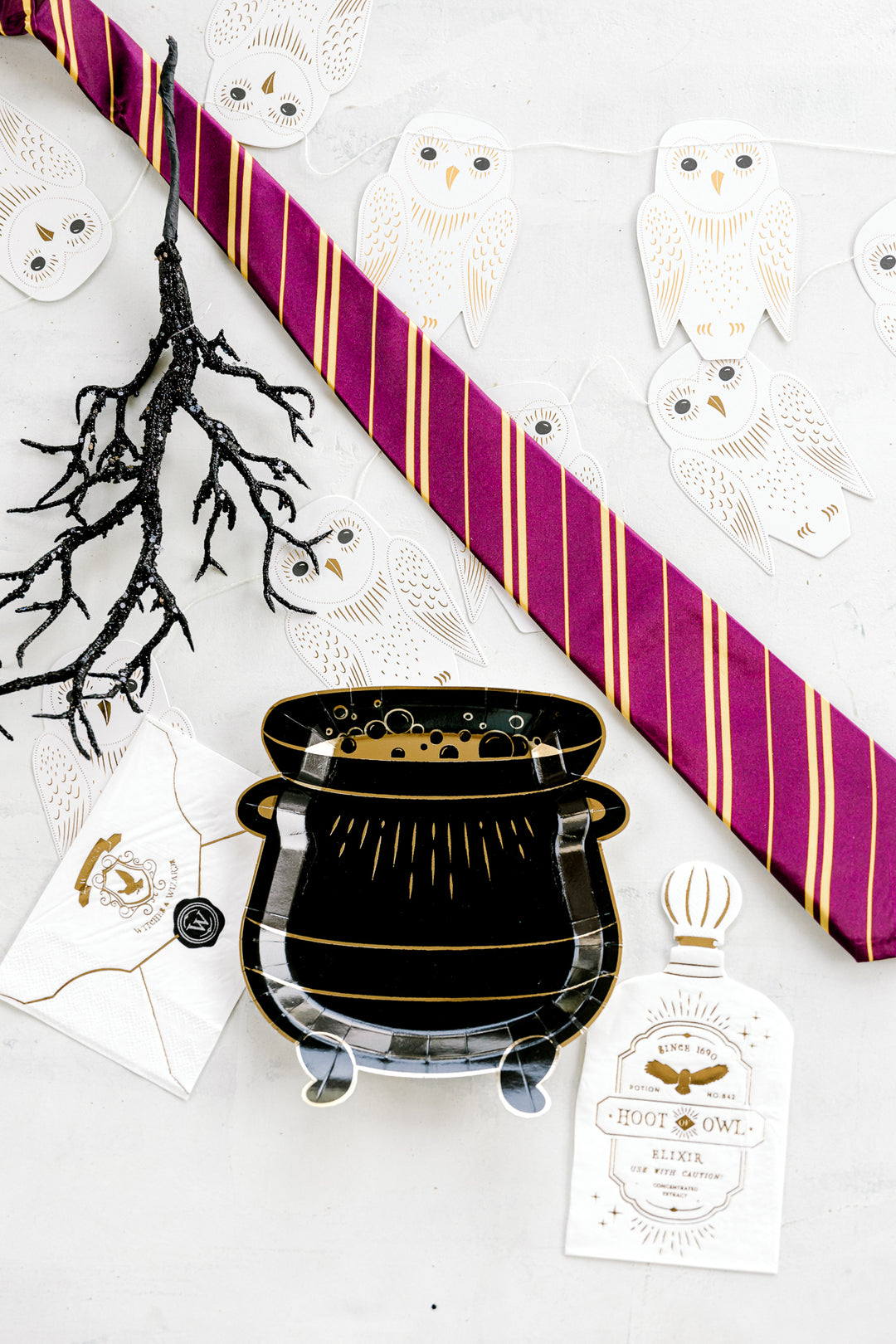 Harry Potter Themed Party Supplies - Halloween