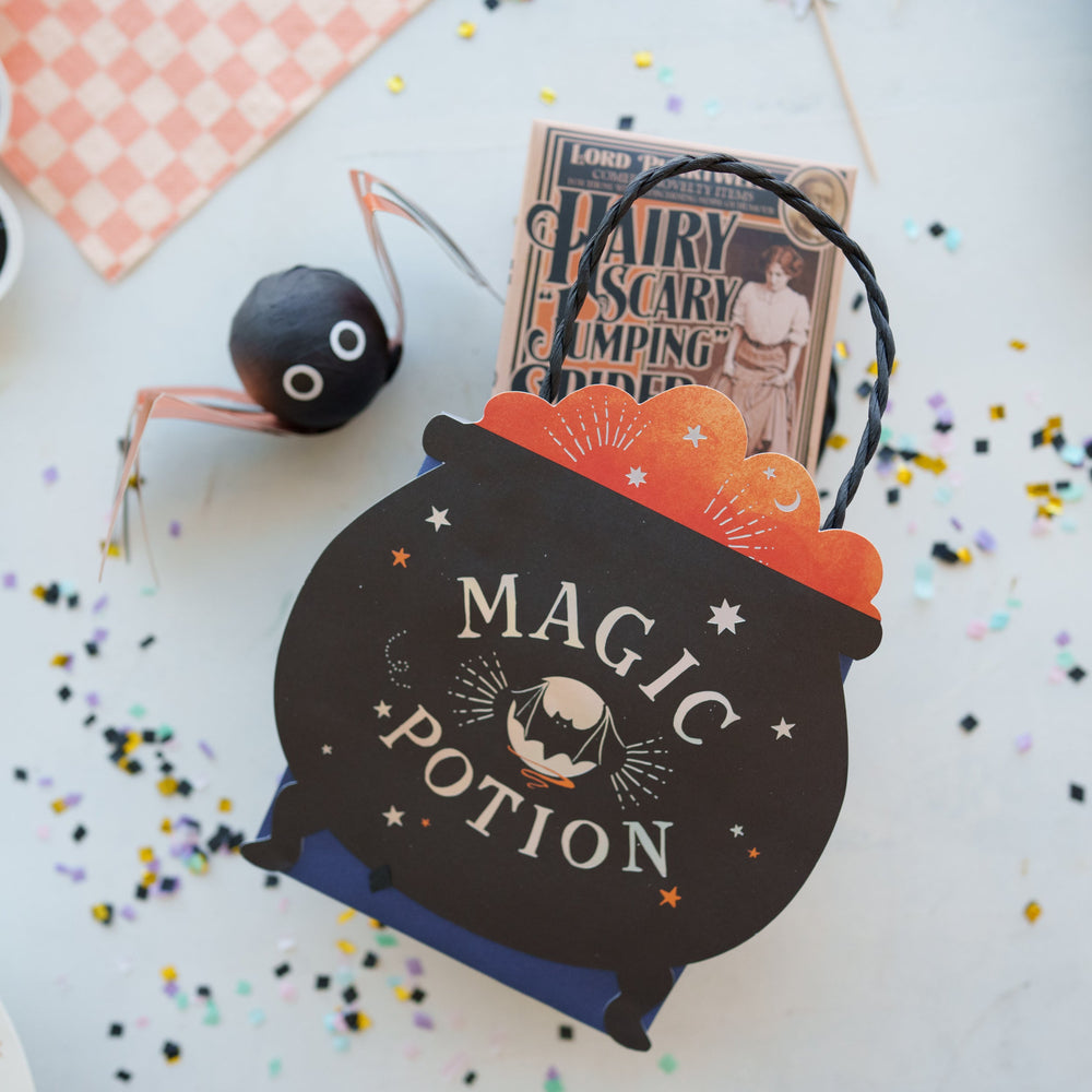 MAGIC CAULDRON PARTY BAGS Meri Meri Bonjour Fete - Party Supplies
