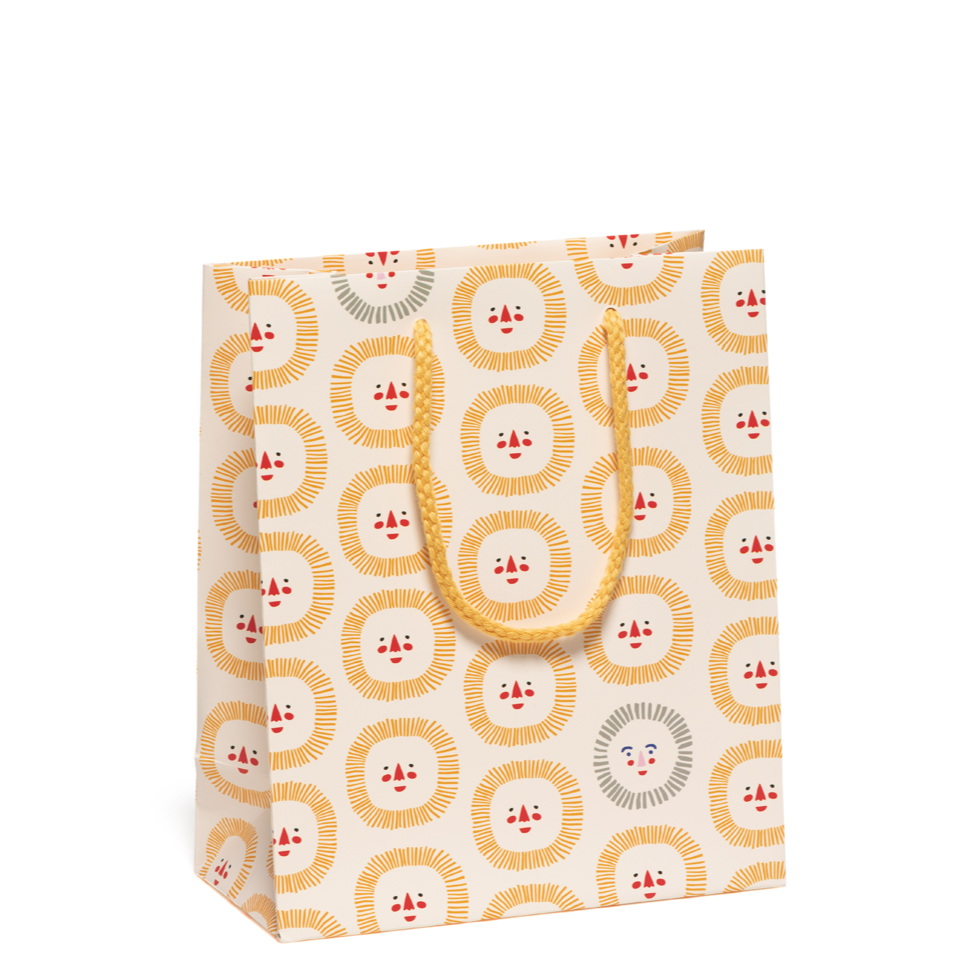 Sunshine Smiles Bag Red Cap Cards Bonjour Fete - Party Supplies