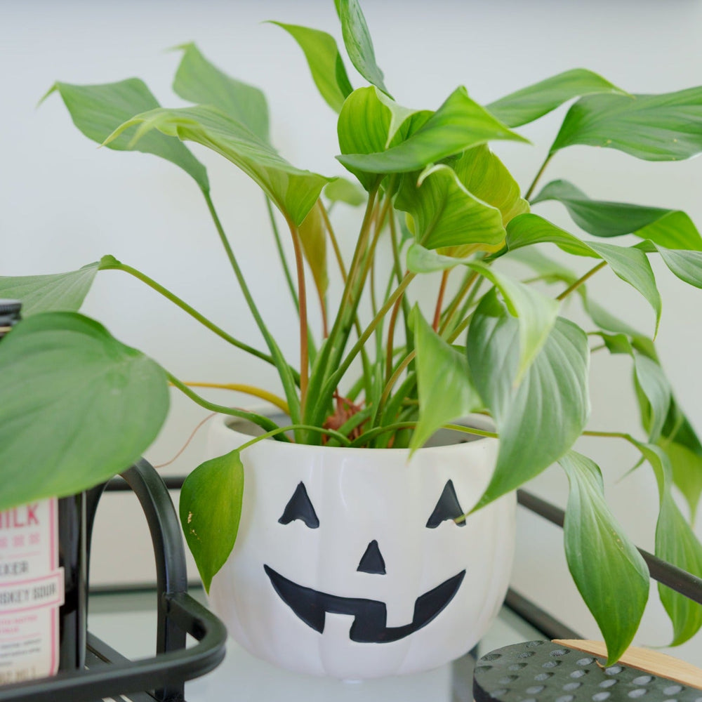 JACK-O-LANTERN BOWL Transpac Halloween Party Decorations Bonjour Fete - Party Supplies