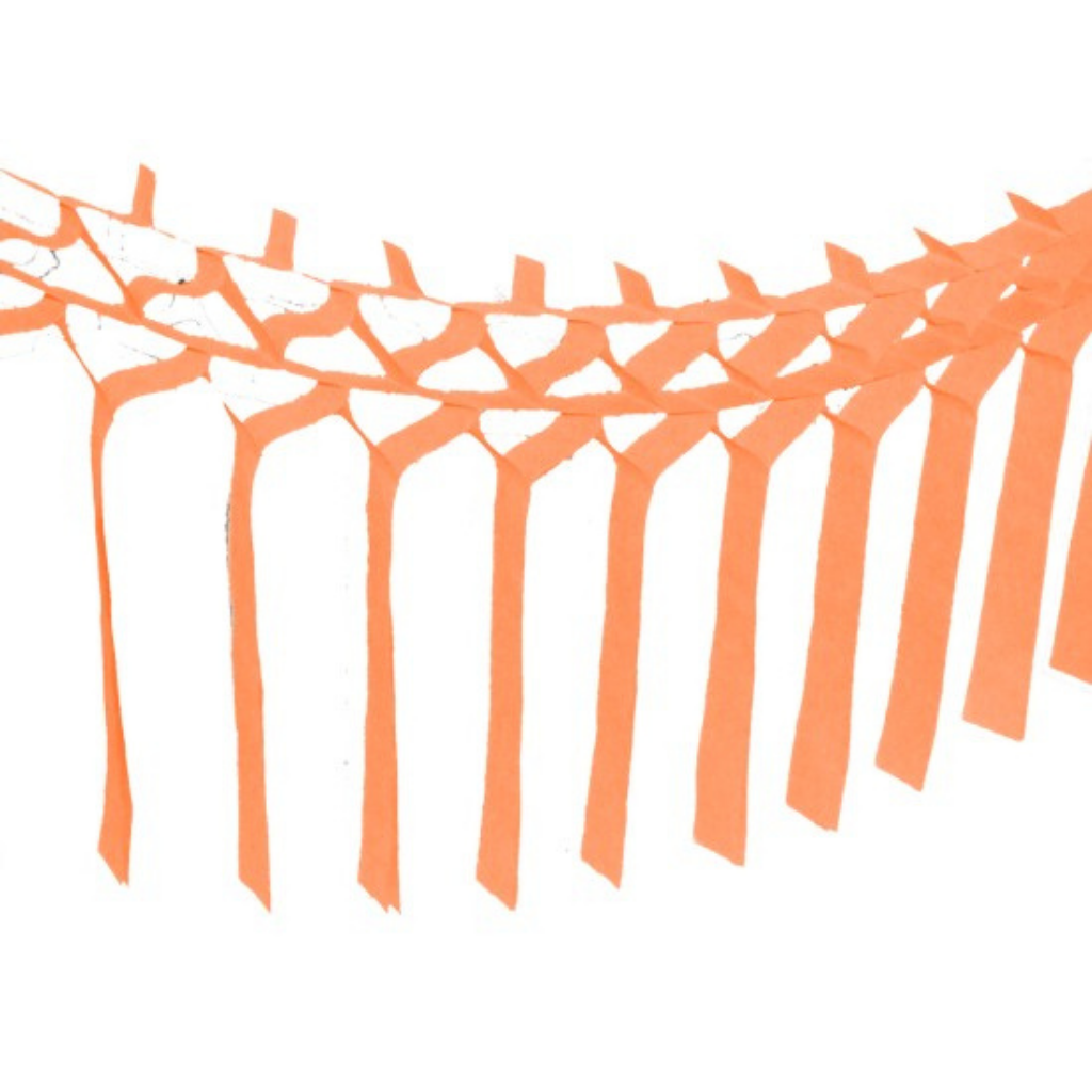 PEACH STREAMER GARLAND Devra Party Garlands & Banners Bonjour Fete - Party Supplies