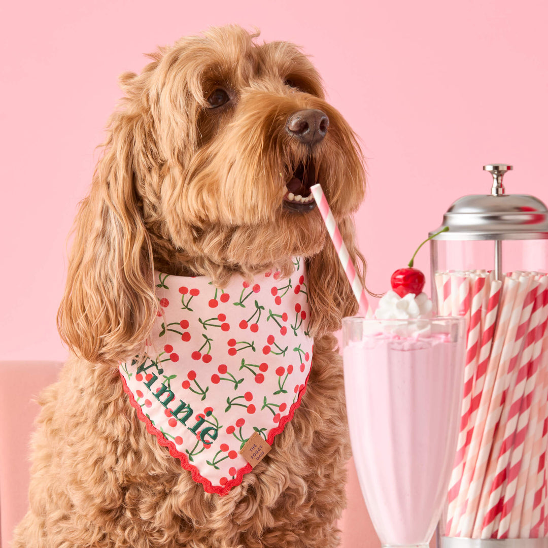 Close-up of the cherry print on the dog bandana