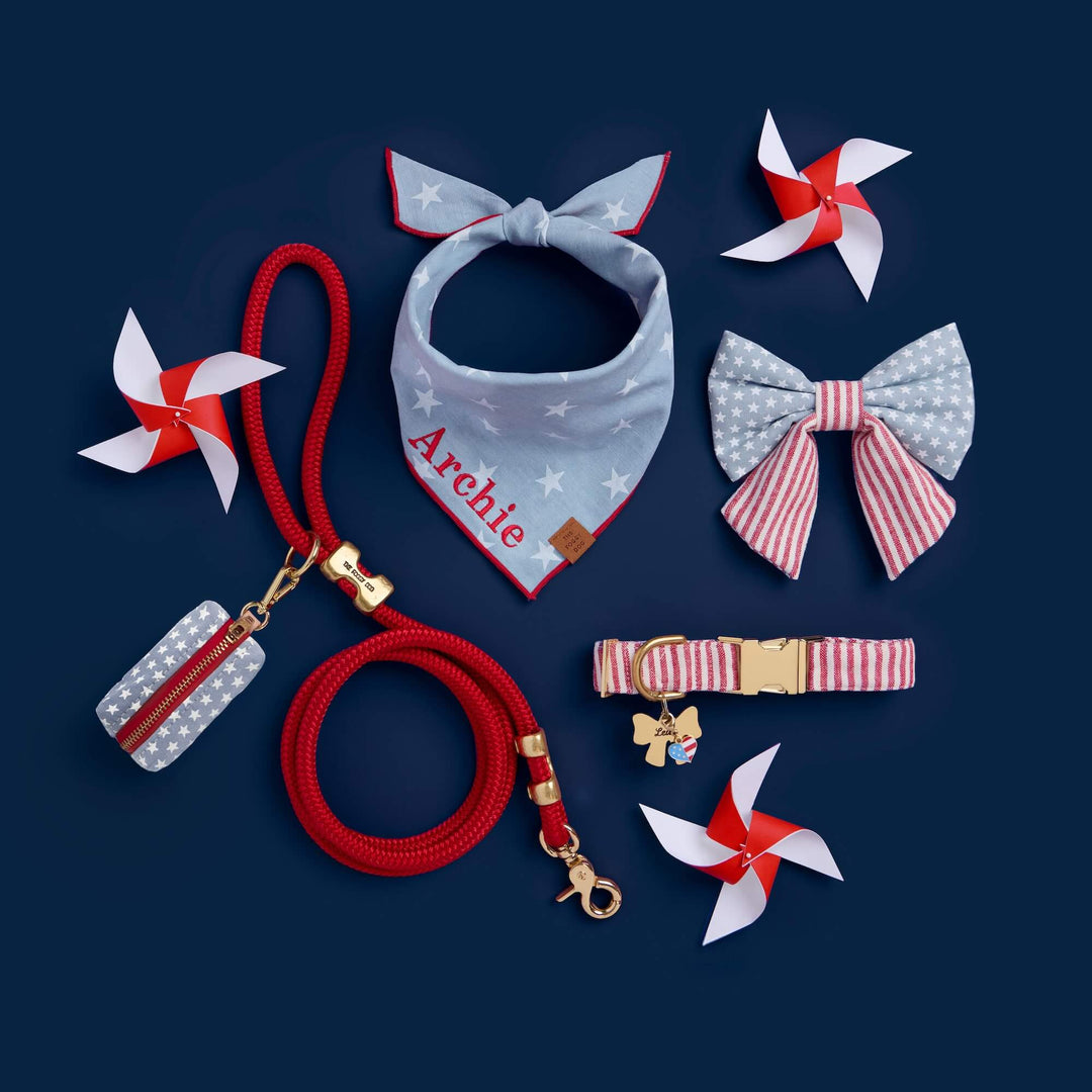 Stars-and-stripes dog bows and collars styled for a 4th of July celebration with red, white, and blue accents.