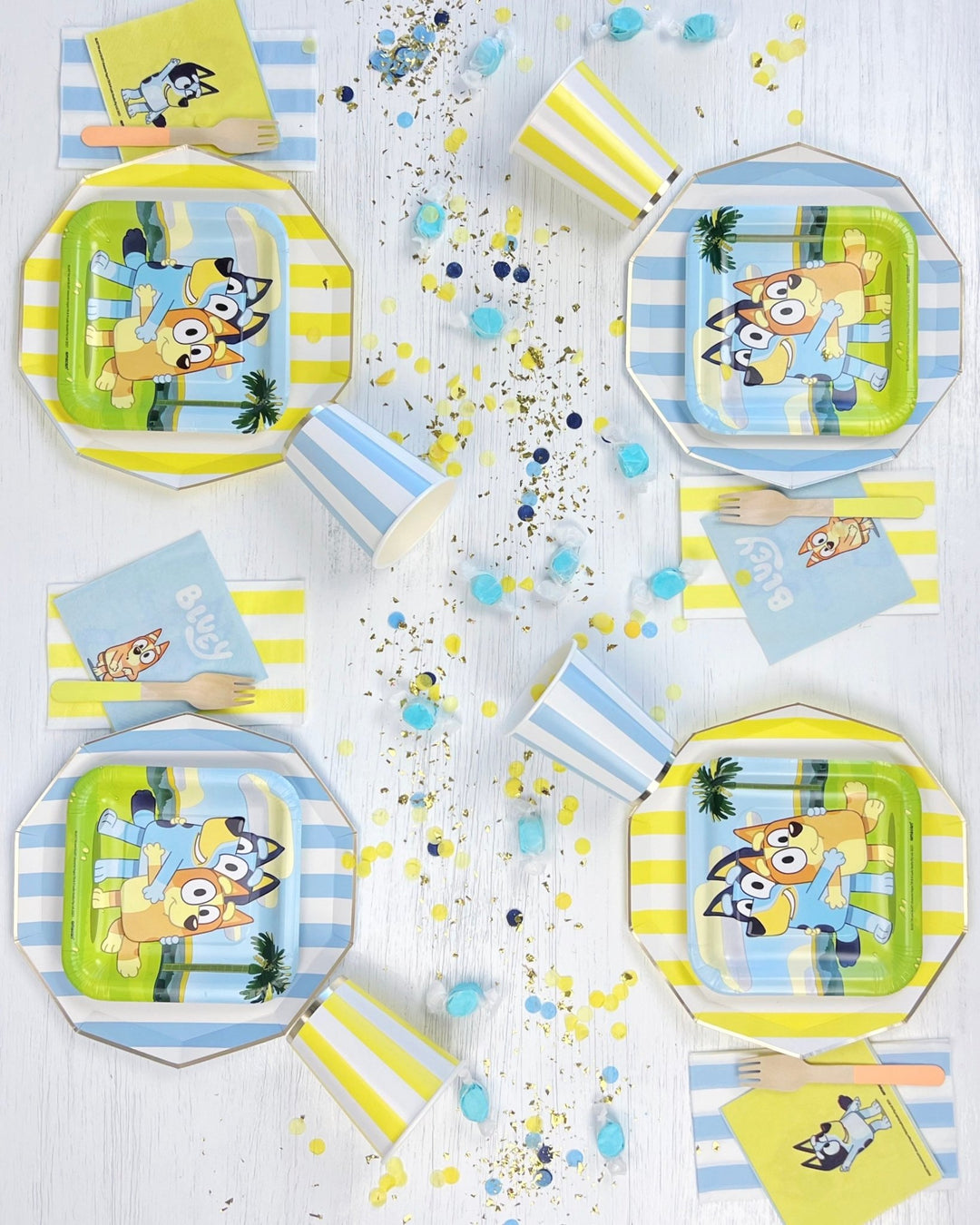 Bluey Themed Kids Party Supplies