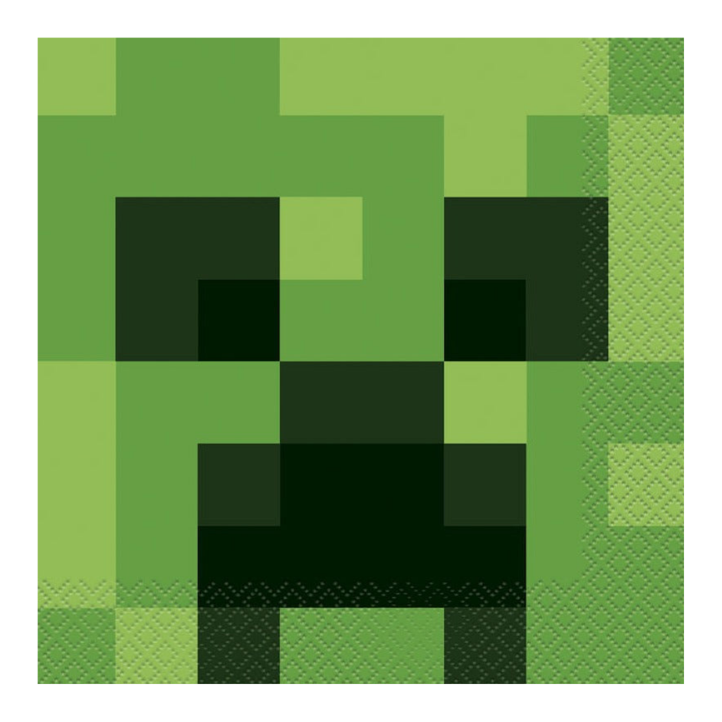 Minecraft party supplies