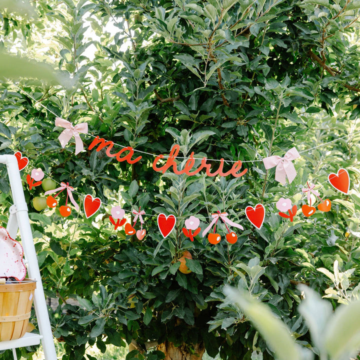 MAC1202 - Ma Cherie Banner Set My Mind’s Eye MAC1202 - Ma Cherie Banner Set Bonjour Fete - Party Supplies