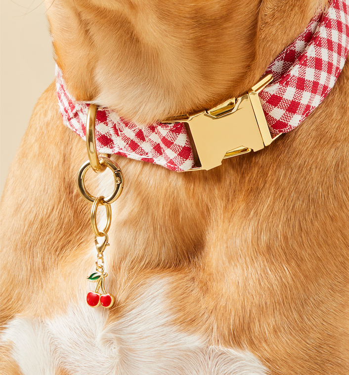 CHERRY DOG COLLAR CHARM The Foggy Dog Pet Accessories CHERRY DOG COLLAR CHARM Bonjour Fete - Party Supplies