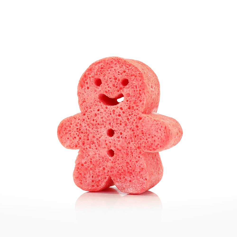 CANDY CANE GINGERBREAD SHOWER BUFFER SPONGE Spongellé Stocking Stuffers & Holiday Party Favors Bonjour Fete - Party Supplies