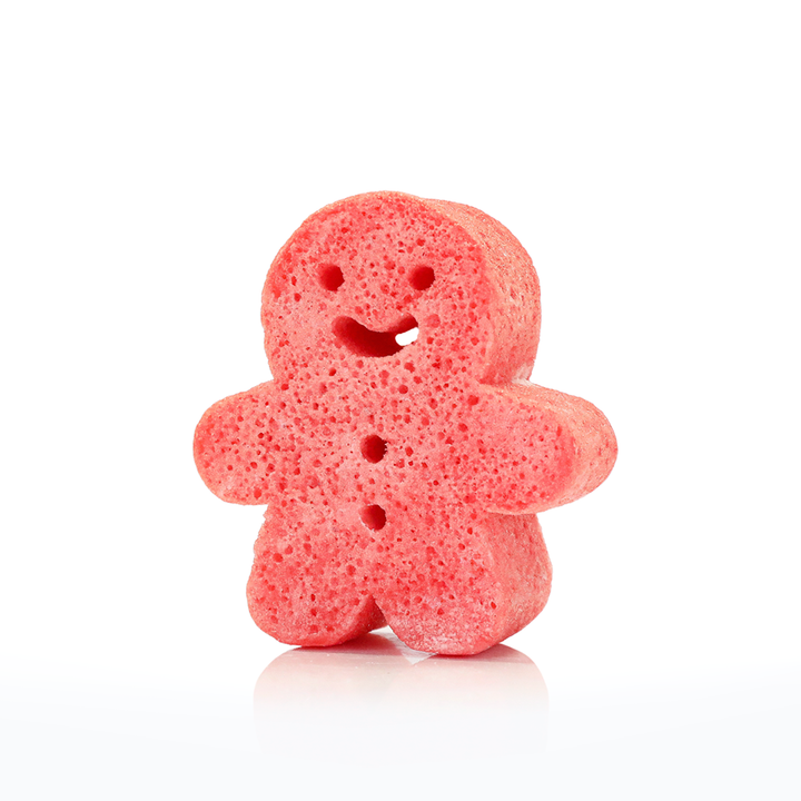 CANDY CANE GINGERBREAD SHOWER BUFFER SPONGE Spongellé Stocking Stuffers & Holiday Party Favors Bonjour Fete - Party Supplies