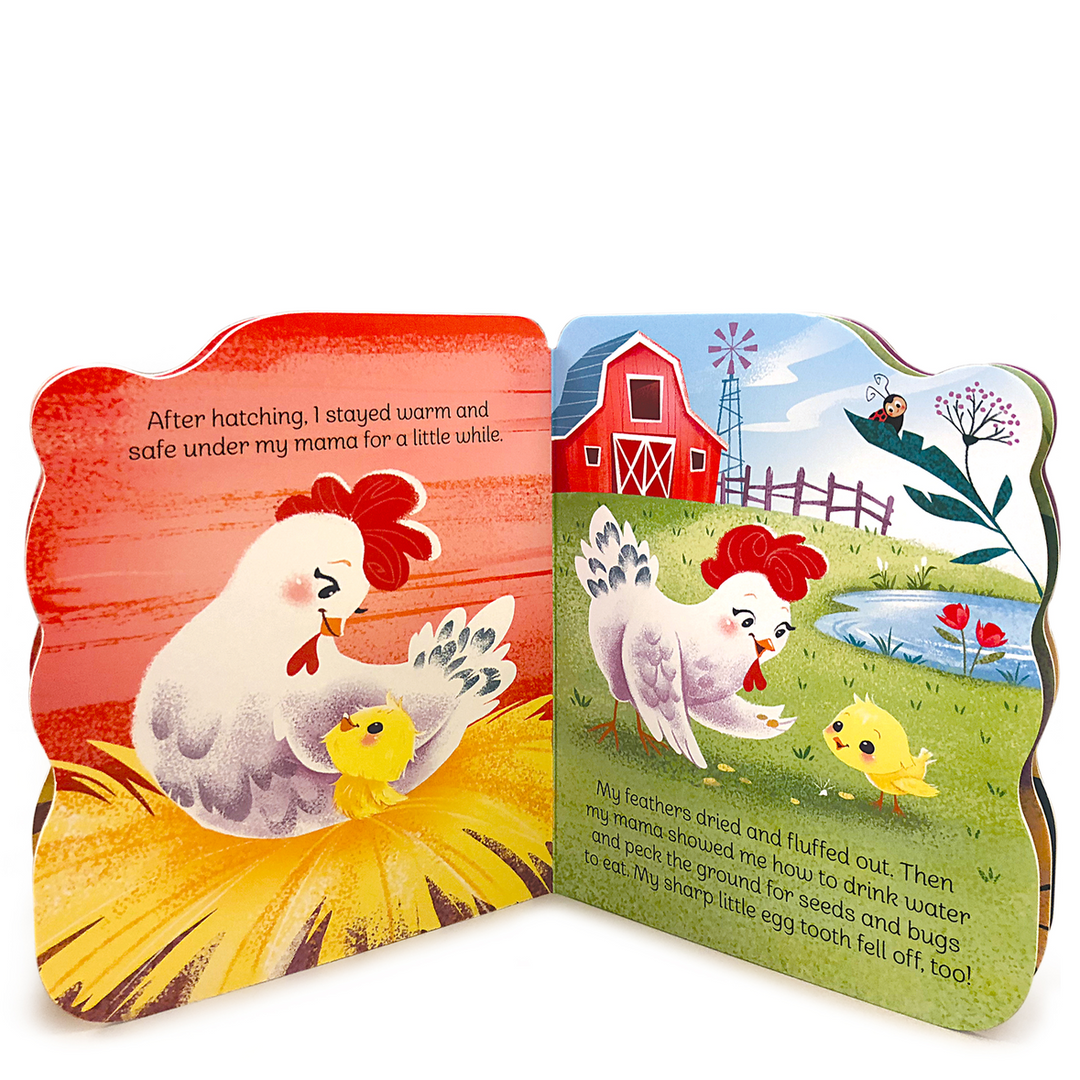 A Little Chick Shaped Board Book Bonjour Fete Party Supplies Easter Gifts & Basket Fillers