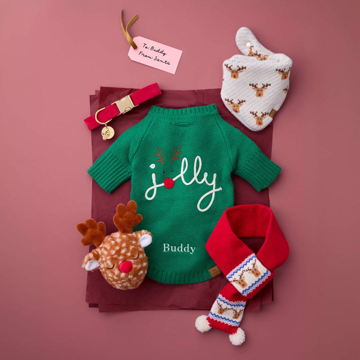 Green Jolly sweater with red collar, reindeer toy, bandana, knit scarf, and a To Buddy gift tag on burgundy.