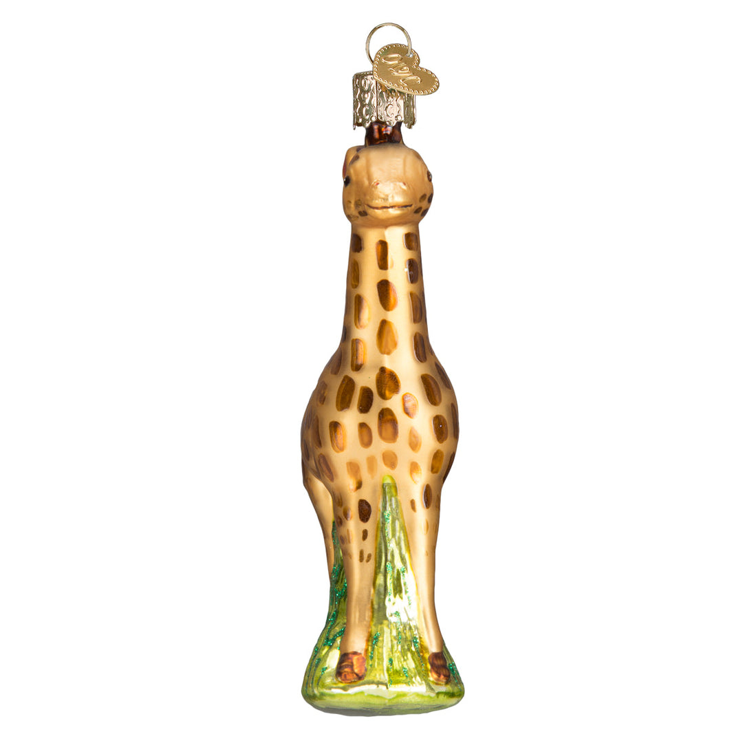 Front of the baby giraffe ornament with its face and small horns facing forward