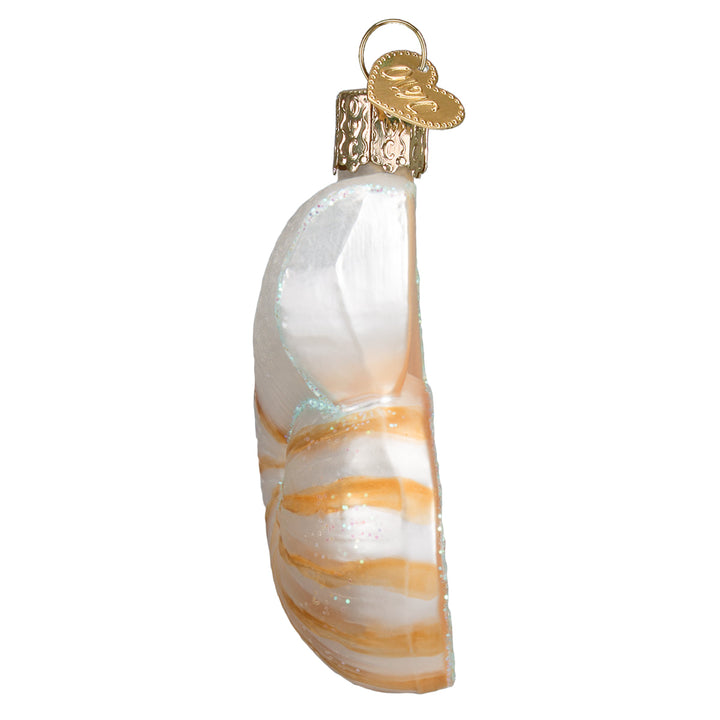 Edge view of the nautilus shell ornament showing its curved ivory opening, on white