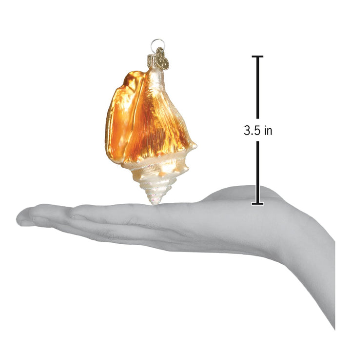 Golden seashell ornament on an open palm beside a 3.5 inch height marker