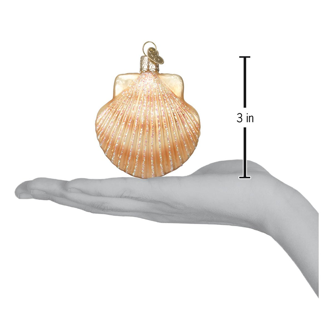 Scallop shell ornament on an open palm beside a 3 inch height marker