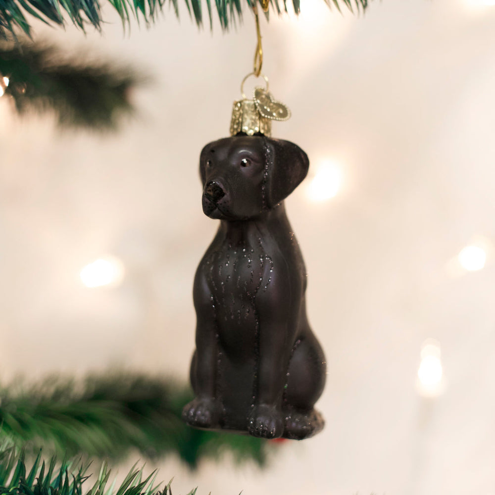 Black lab glass ornament hanging from a Christmas tree branch with warm twinkling lights