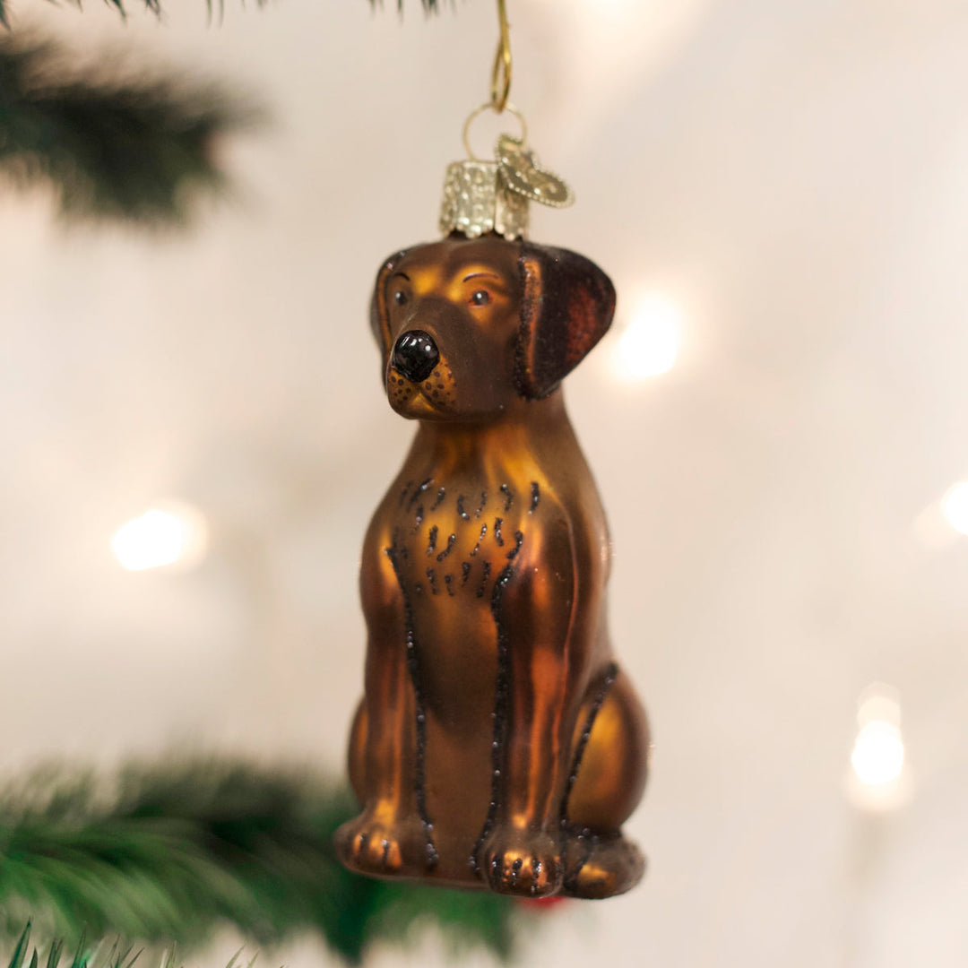 Chocolate lab glass ornament hanging on a Christmas tree with warm twinkling lights