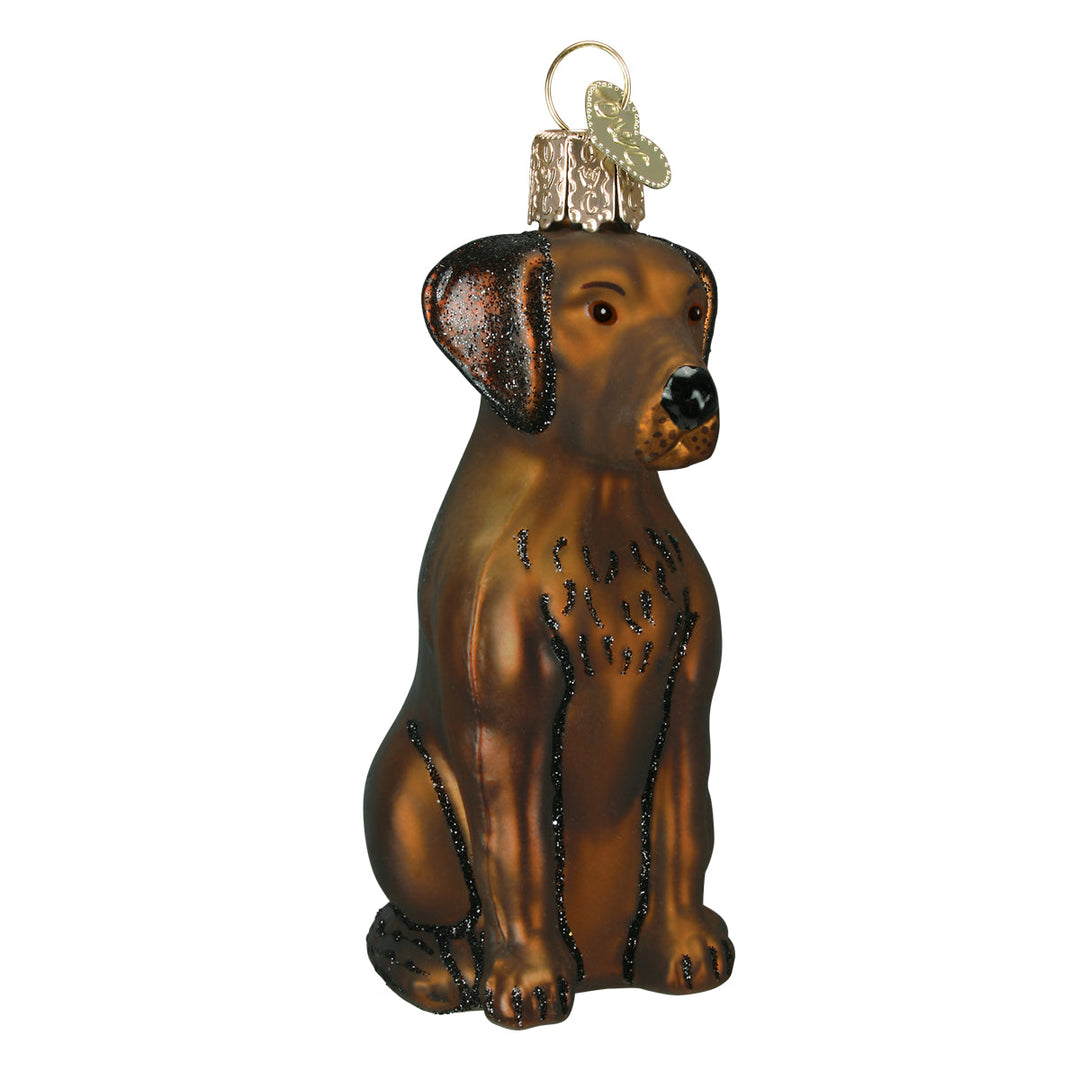 Chocolate Labrador ornament sitting upright in rich brown hand-painted glass, front view
