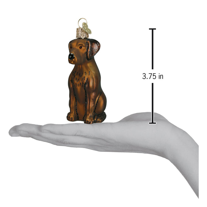 Chocolate Labrador ornament on an open palm with a 3.75 inch height marker for scale