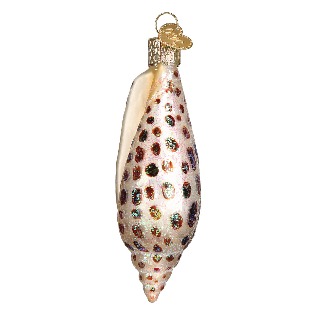 Side view of the spotted junonia shell ornament with its ivory lip, on white