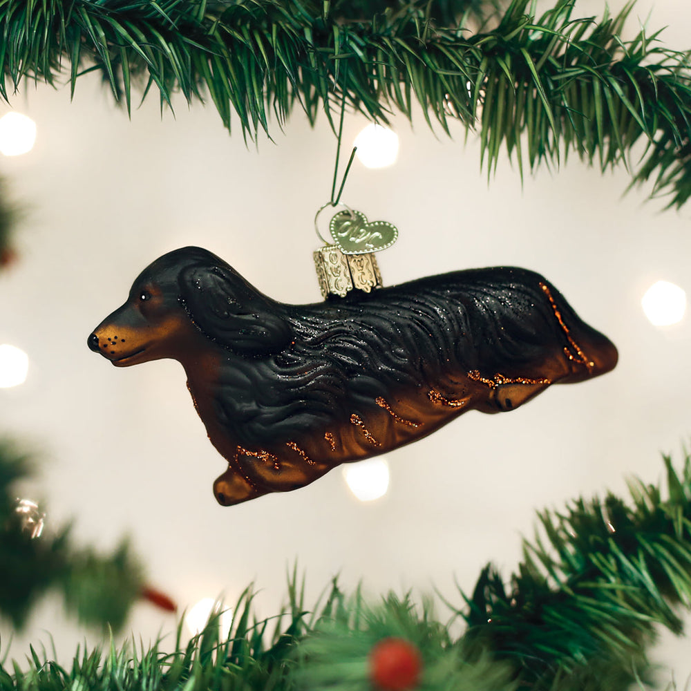 Long haired dachshund glass ornament hanging between pine branches on a Christmas tree