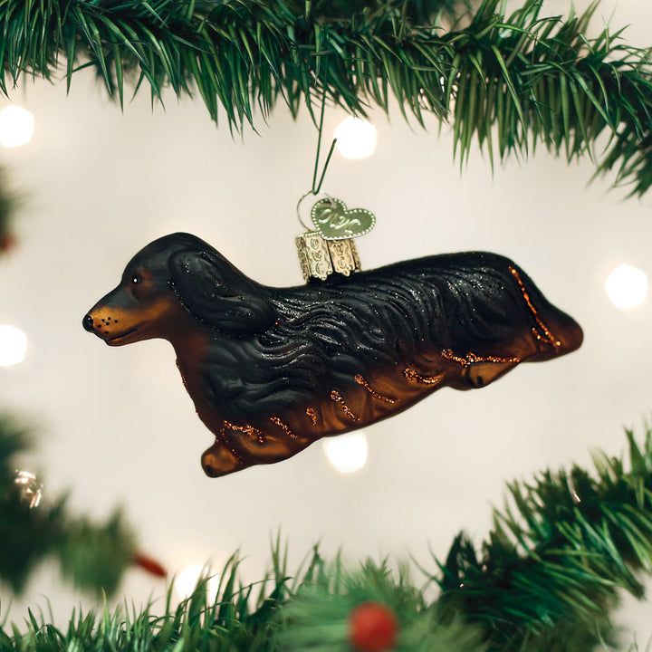 Long haired dachshund glass ornament hanging between pine branches on a Christmas tree