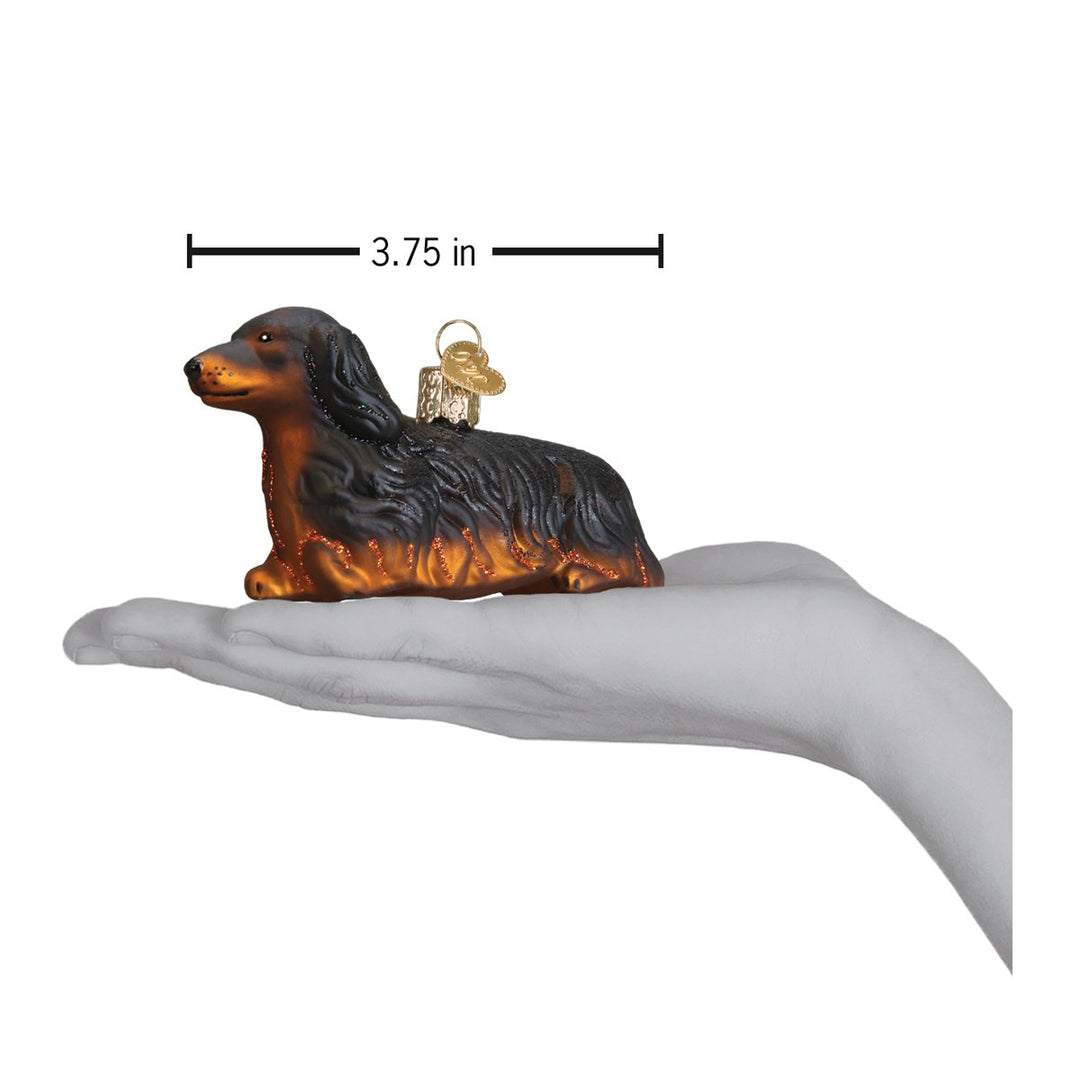 Long haired dachshund ornament on an open palm with a 3.75 inch width marker for scale