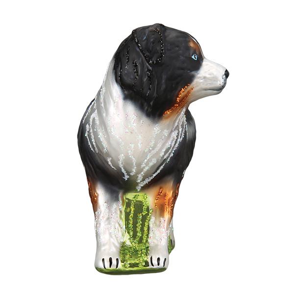 Three-quarter front view of the Australian Shepherd ornament showing its white blaze and chest