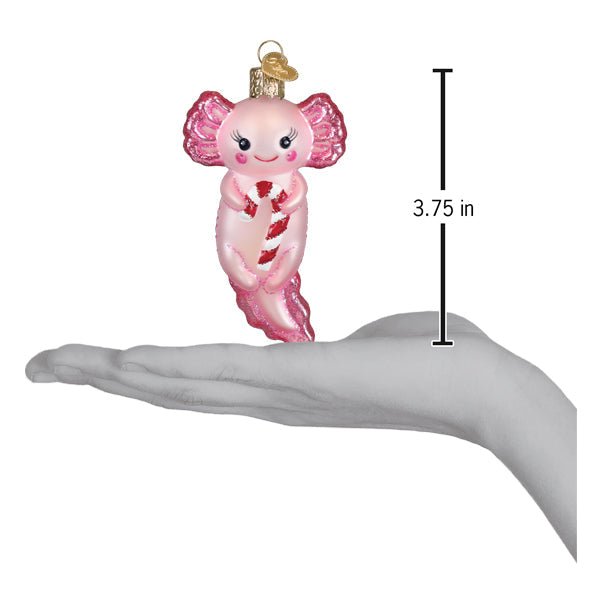 Axolotl ornament on an open palm beside a 3.75 inch height marker