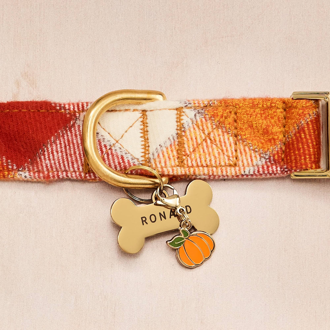 Pumpkin Spice Plaid Flannel Dog Collar