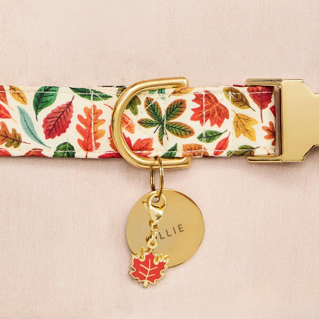Falling Leaves Dog Collar