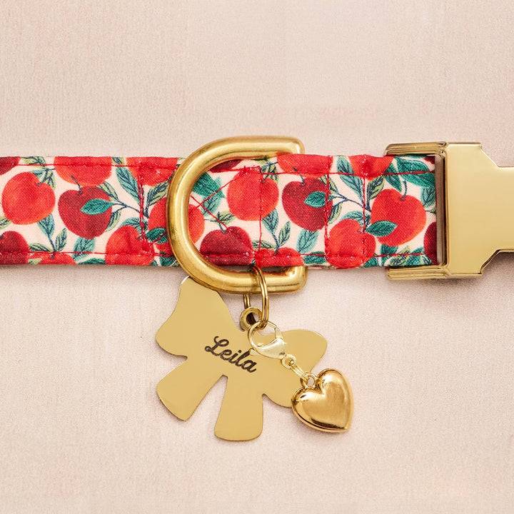 Apple of My Eye Dog Collar