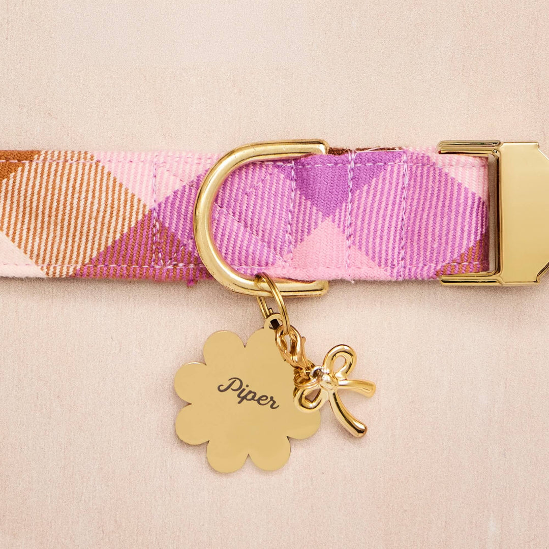 Pink and lilac plaid dog collar with a scalloped gold tag and gold bow charm