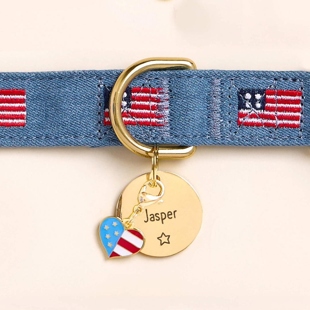 Patriotic dog collar paired with a coordinating collar charm