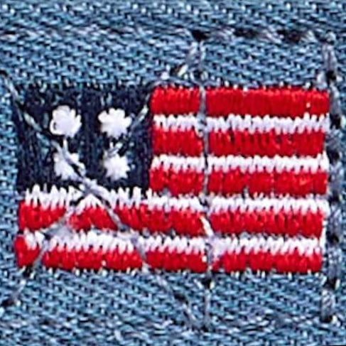 American flag dog collar paired with a collar charm