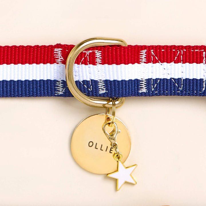 Striped dog collar paired with a coordinating collar charm