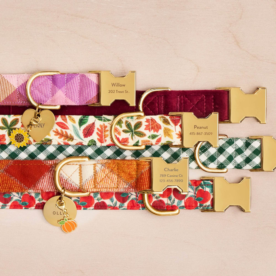 Falling Leaves Dog Collar
