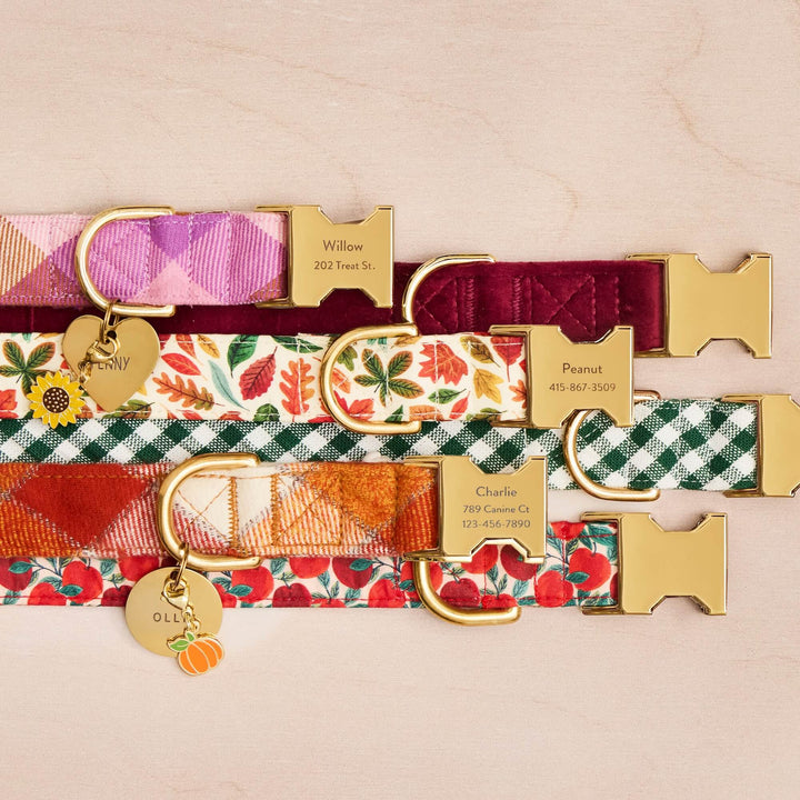 Falling Leaves Dog Collar