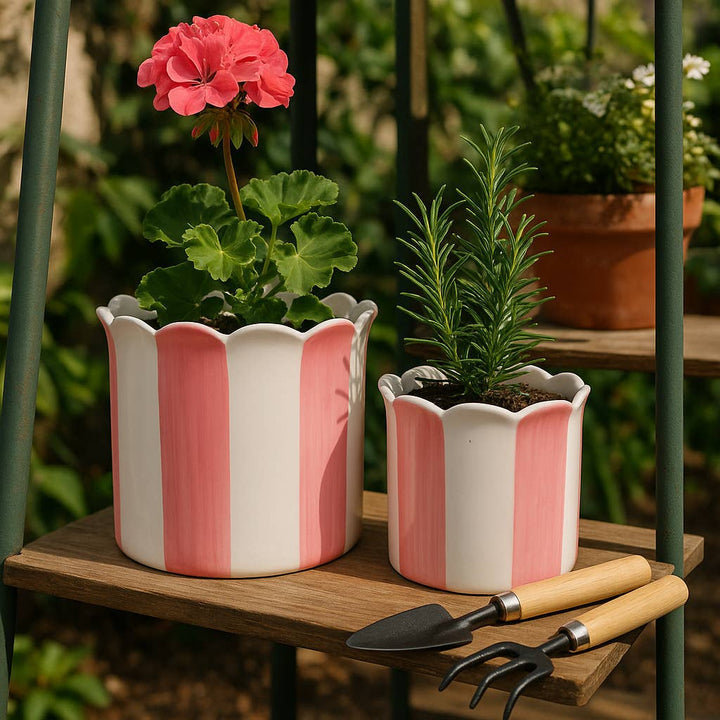 Planters Set of 2 - Pink Ceramic Striped Scallop, 6/8 in. Sagebrook Home Planters Set of 2 - Pink Ceramic Striped Scallop, 6/8 in. Bonjour Fete - Party Supplies