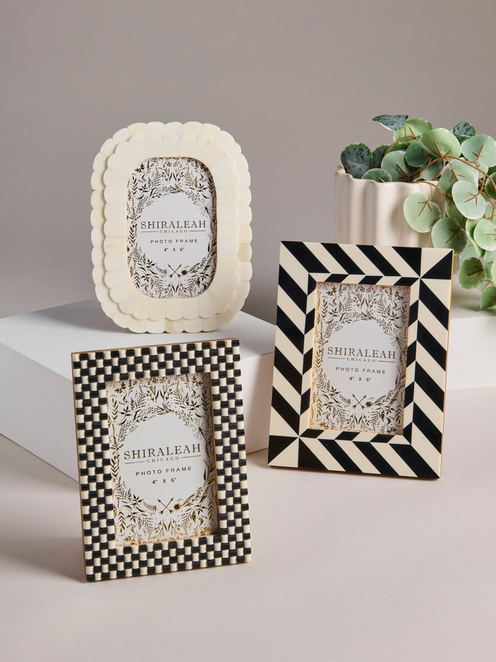 Three decorative picture frames displayed on a tabletop: an ivory scalloped oval frame, a black-and-cream checkerboard rectangular frame, and a black-and-cream diagonal stripe rectangular frame. A small potted green plant sits in the background against a soft beige wall.