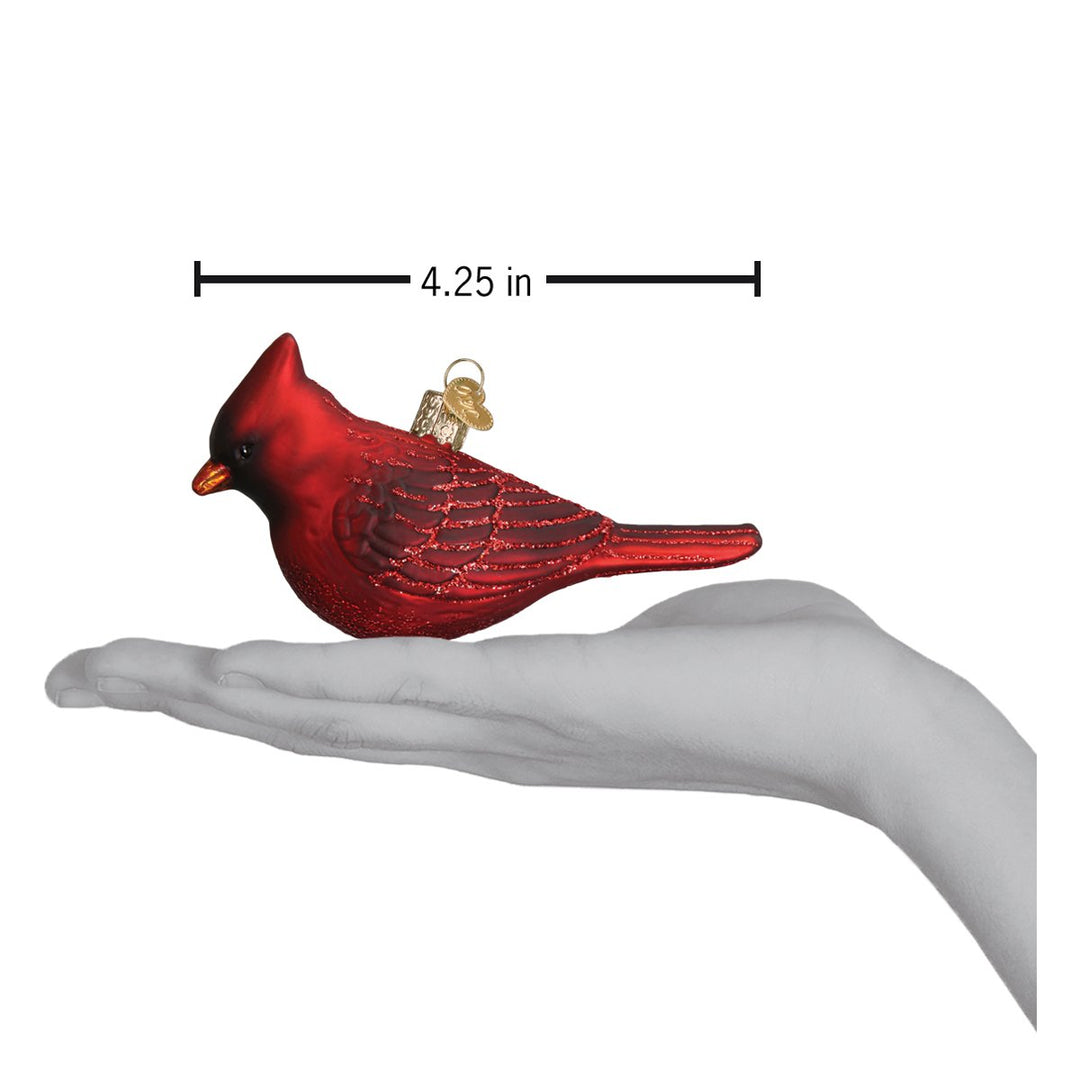 Northern Cardinal Ornament Old World Christmas 2 X 4.25 X 1.5 / 16110 Northern Cardinal Ornament Bonjour Fete - Party Supplies