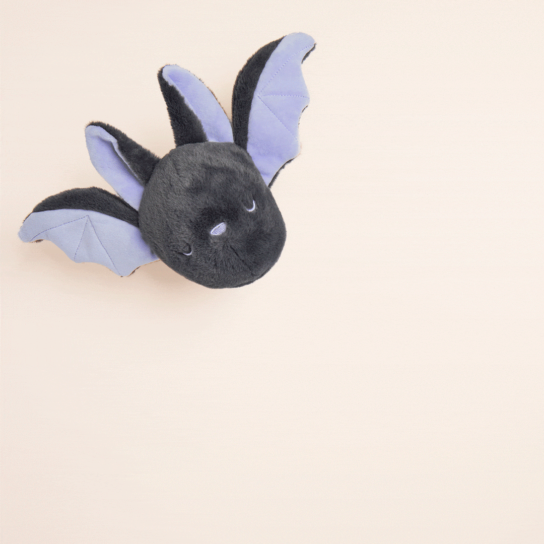 Bat 2-in-1 Bounce Dog Toy