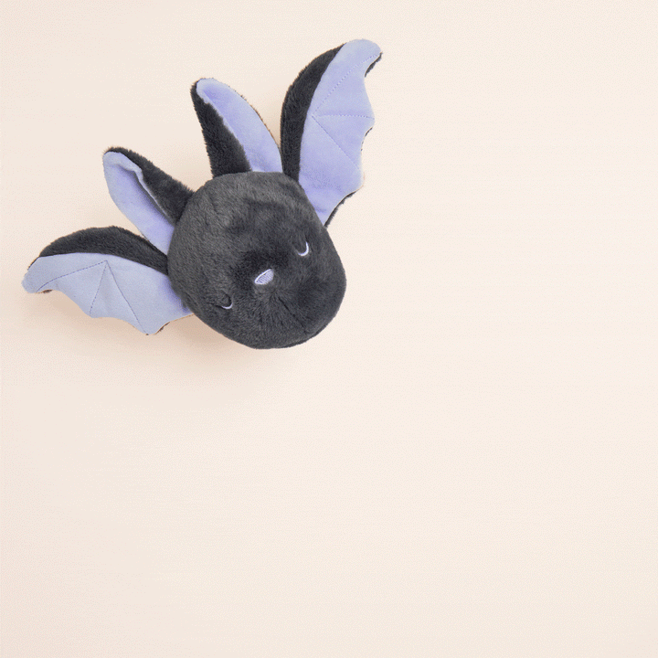 Bat 2-in-1 Bounce Dog Toy