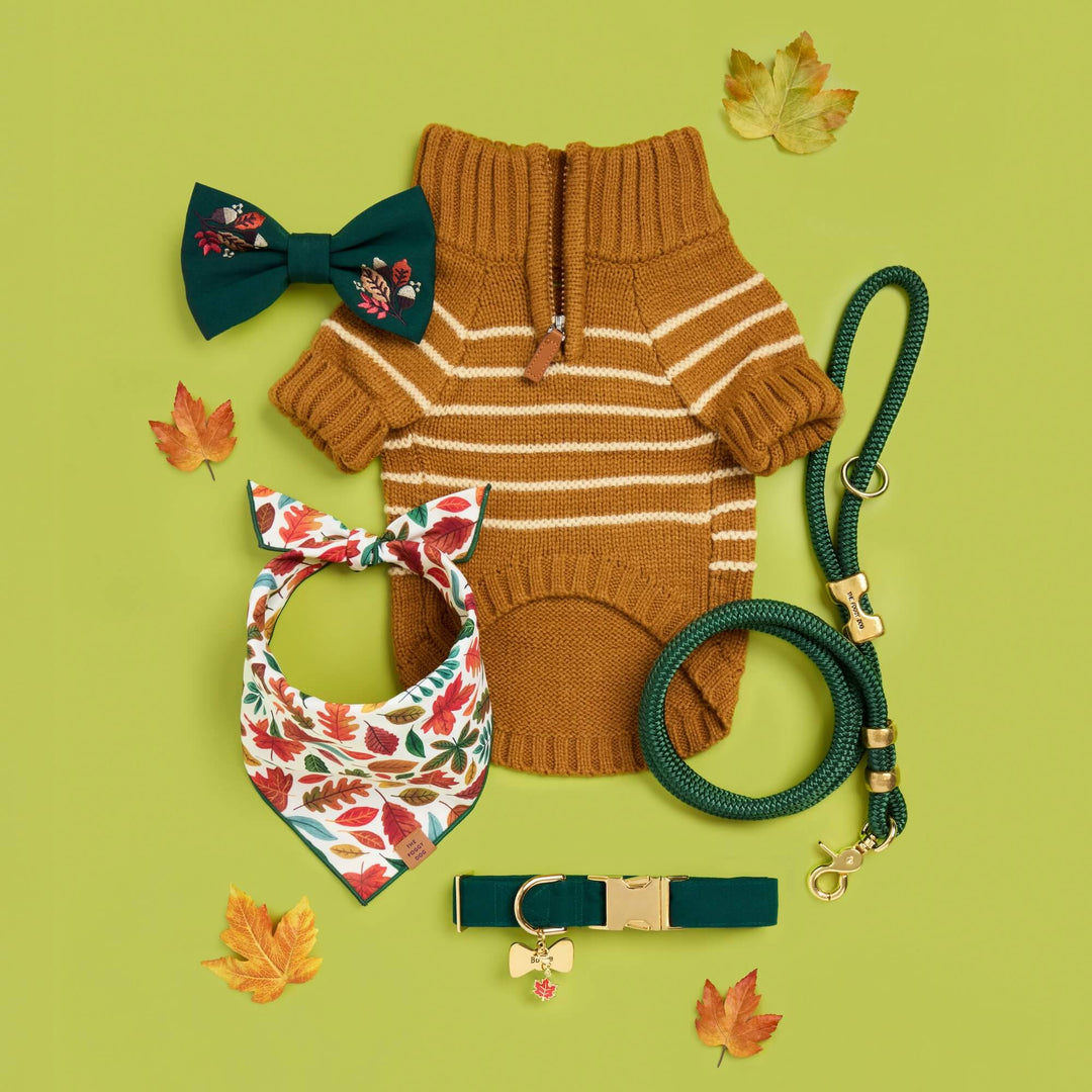 Falling Leaves Dog Bandana