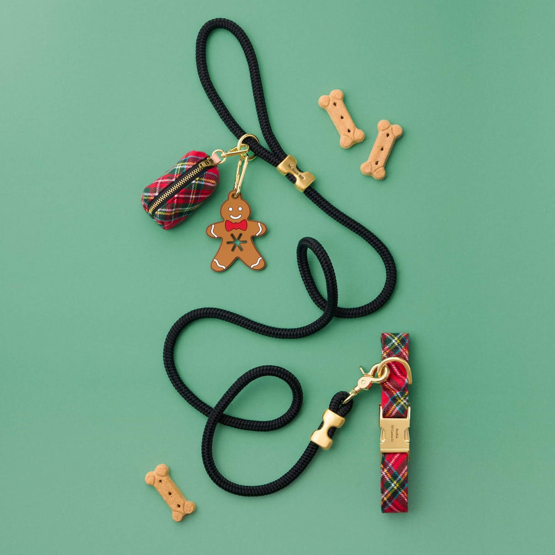 Red tartan collar, waste bag holder, and black rope leash arranged with dog treats against green.