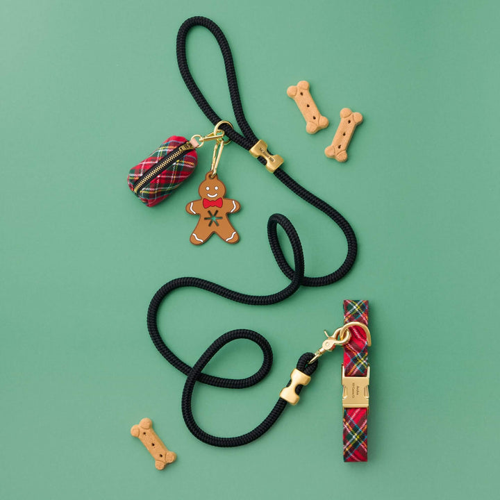 Red tartan collar, waste bag holder, and black rope leash arranged with dog treats against green.