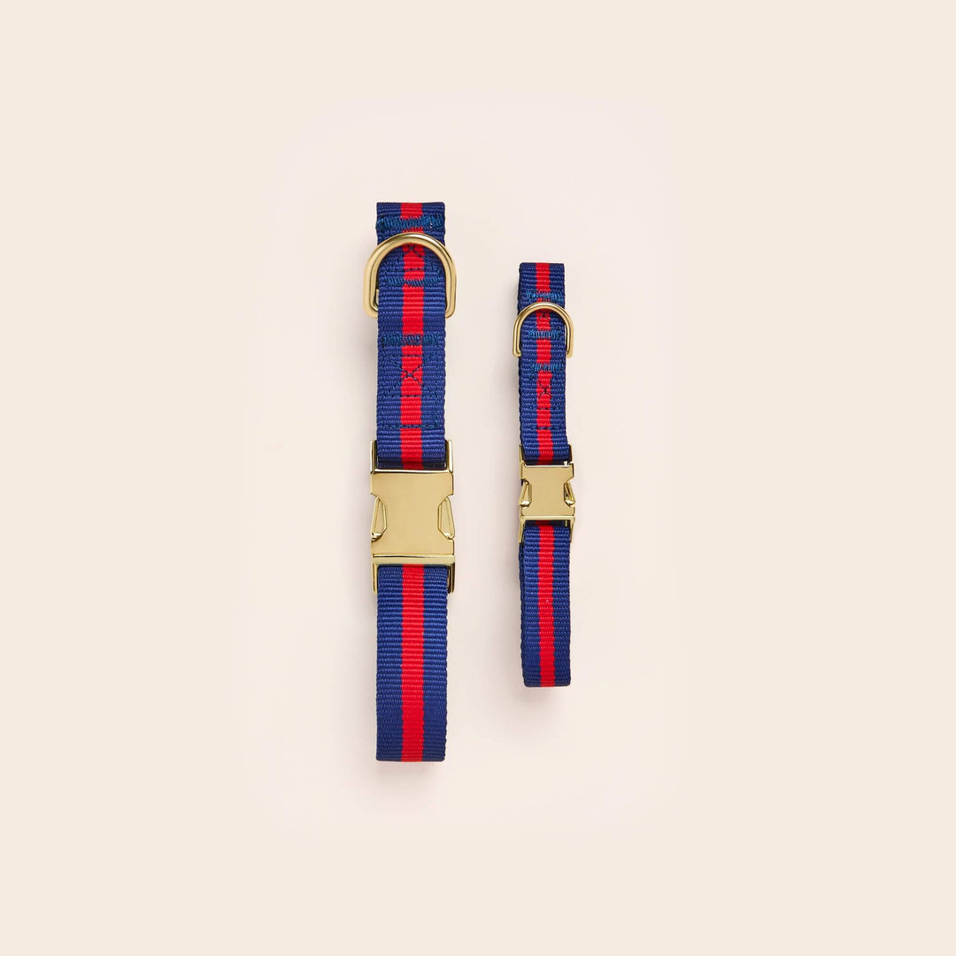 Navy and red nautical webbing dog collars styled together for summer