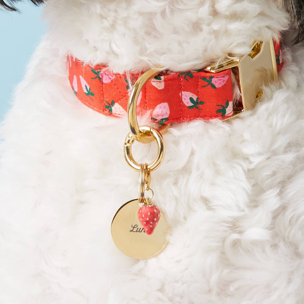 STRAWBERRY DOG COLLAR CHARM The Foggy Dog Pet Accessories STRAWBERRY DOG COLLAR CHARM Bonjour Fete - Party Supplies